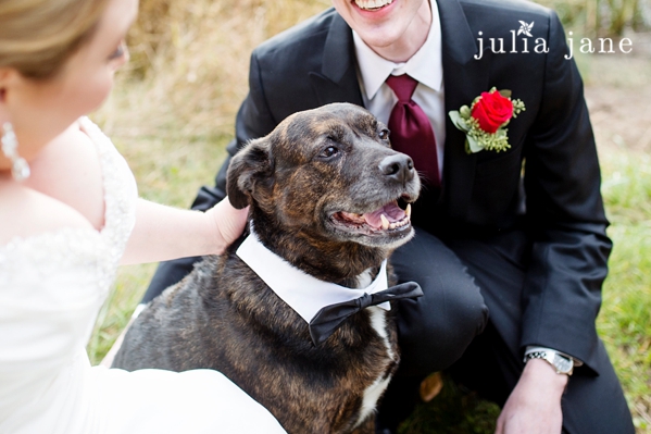 Romantic Wedding Photography by Connecticut Wedding Photographer Julia Jane Studios
